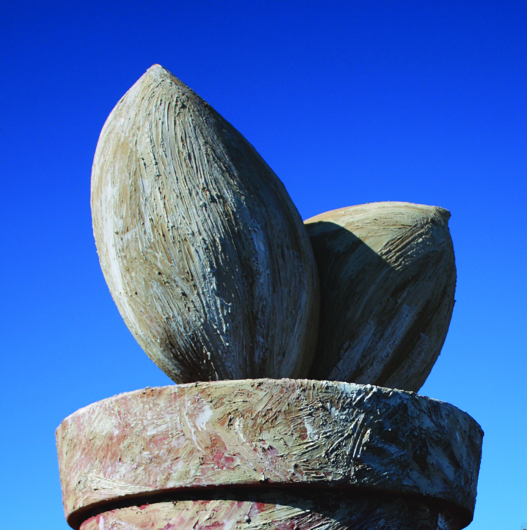Marica Moro, Grains Genesis